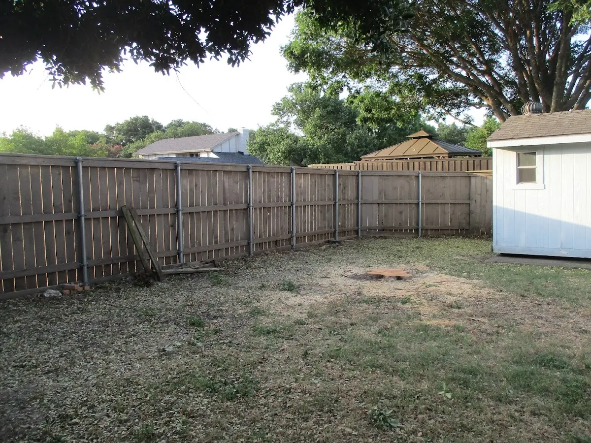 Cleared yard after professional tree removal in Cranberry Isles